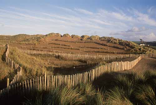 Dune management ©Photolibrary Wales